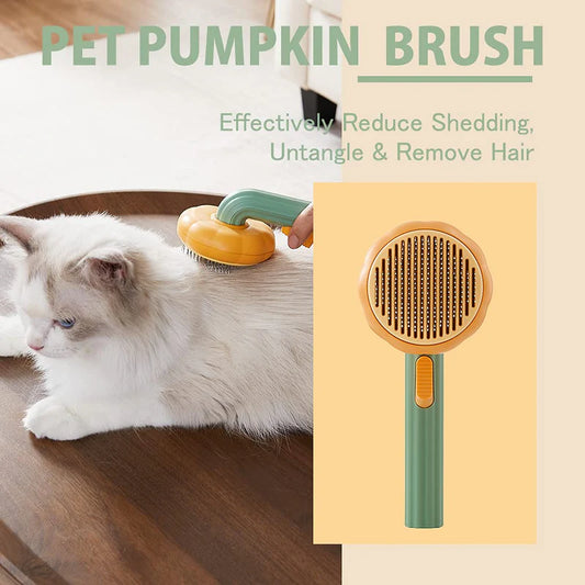 Pet pumpkin brush