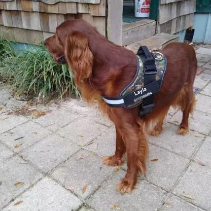 Personalized Dog Harness