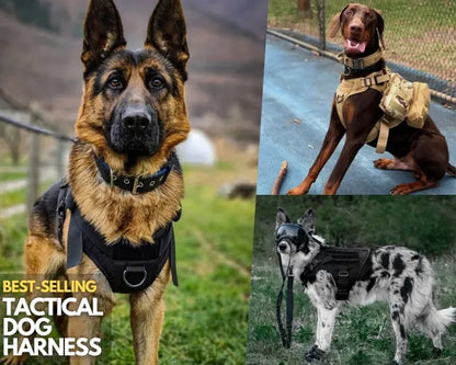 Tactical No-Pull Dog Harness