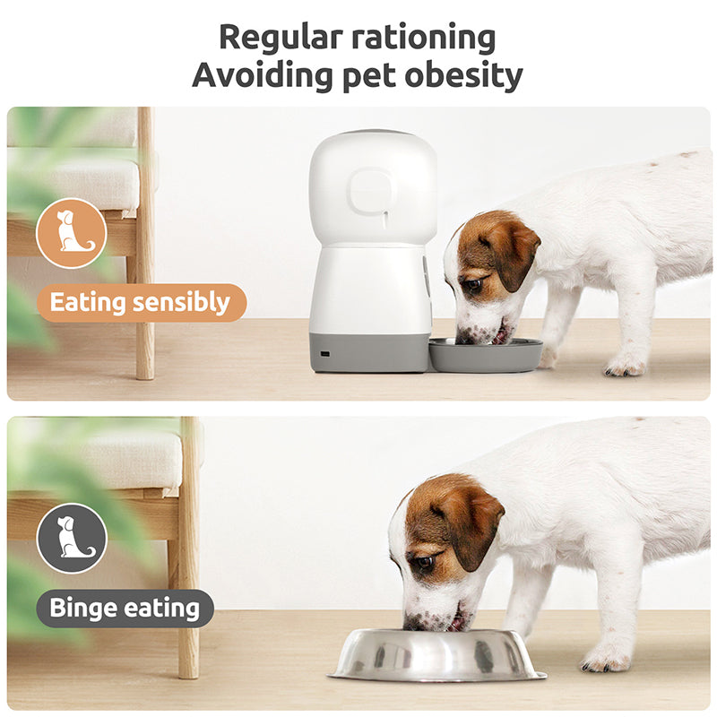 Great for Pet™ Automatic Smart Pet Feeder