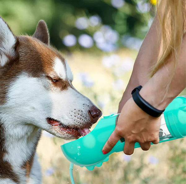 4 In 1 Portable Dog Water Bottle