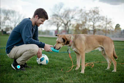 4 In 1 Portable Dog Water Bottle