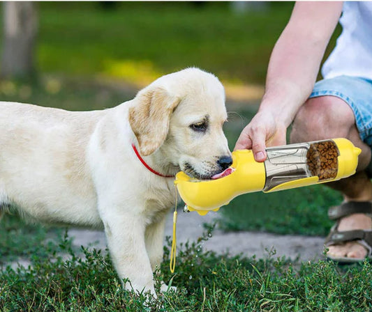 4 In 1 Portable Dog Water Bottle